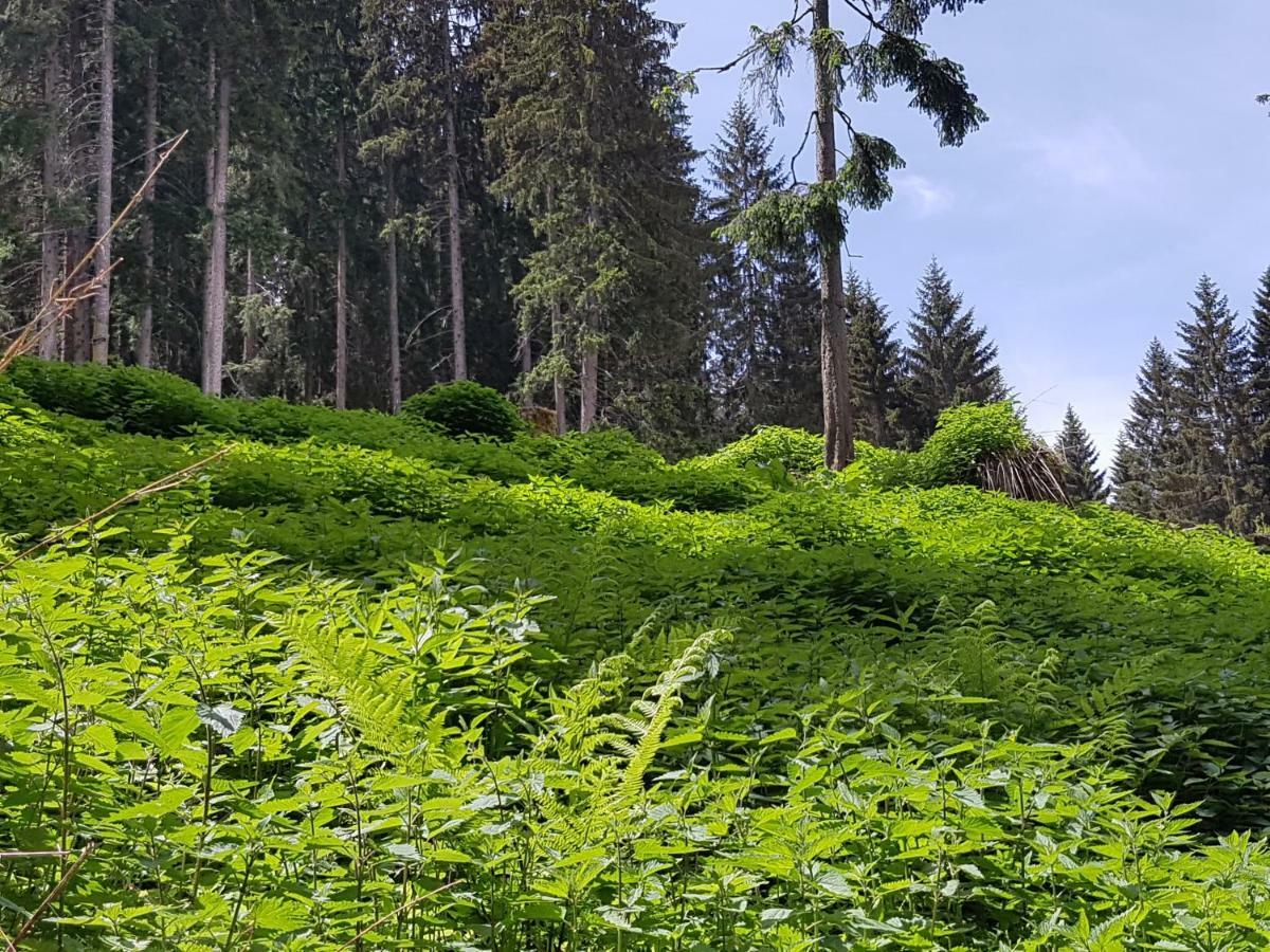 Appartements Burtscher Klosterle am Arlberg Dış mekan fotoğraf