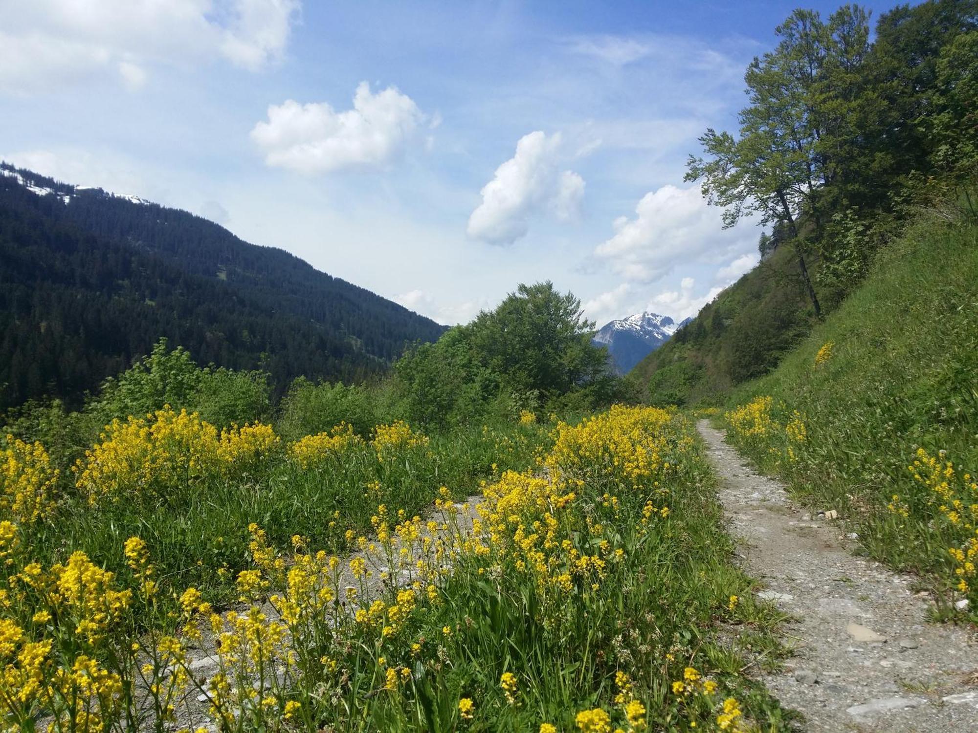 Appartements Burtscher Klosterle am Arlberg Dış mekan fotoğraf